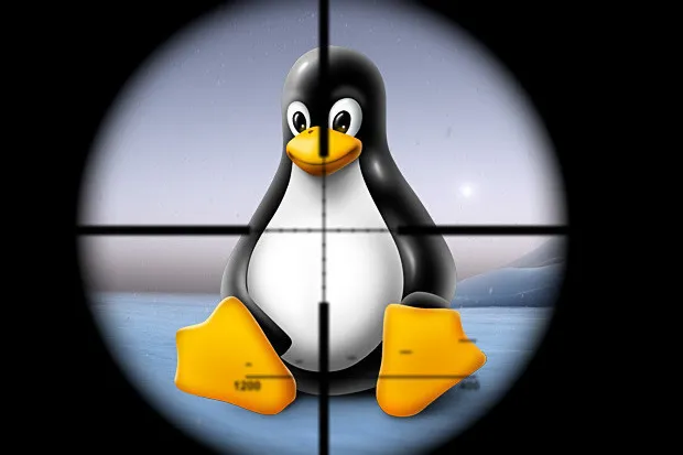 دو آسیب‌پذیری خطرناک در Apport و systemd-coredump منجر به افشای اطلاعات حساس در لینوکس