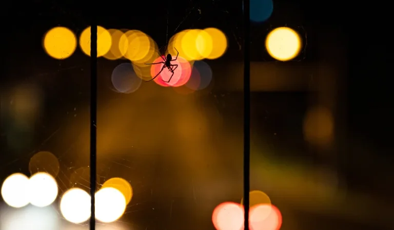 دستگیری هکر ۱۹ ساله انگلیسی به عنوان یکی از رهبران اصلی گروه Scattered Spider